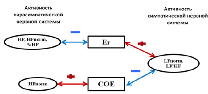 Рис. 3 - Корреляционные связи между активностью ВНС, содержанием в крови эритроцитов и скоростью оседания эритроцитов