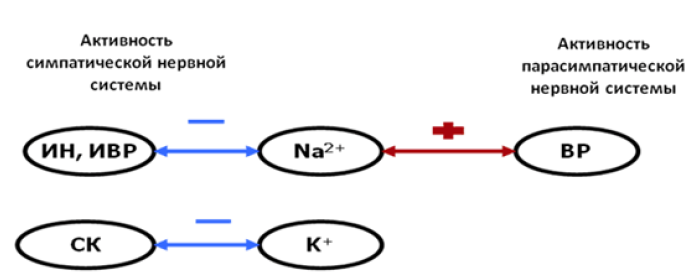 Рис. 4 - Корреляционные связи между активностью ВНС и содержанием в крови ионов натрия и калия 