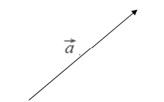 Рис. 1 - Графическое изображение векторной величины